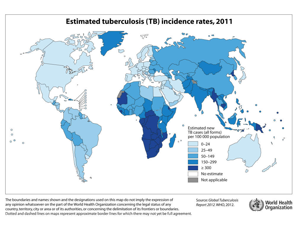 Global TB incidence in 2011