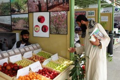 Saving Afghanistan’s Economy: A daunting challenge