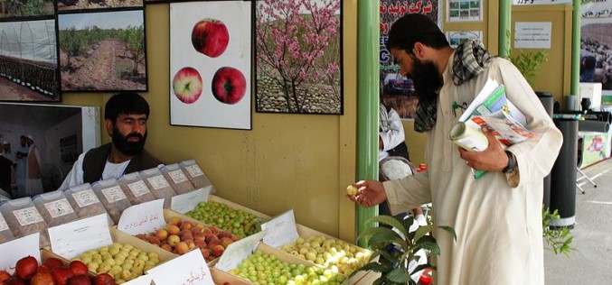 Saving Afghanistan’s Economy: A daunting challenge