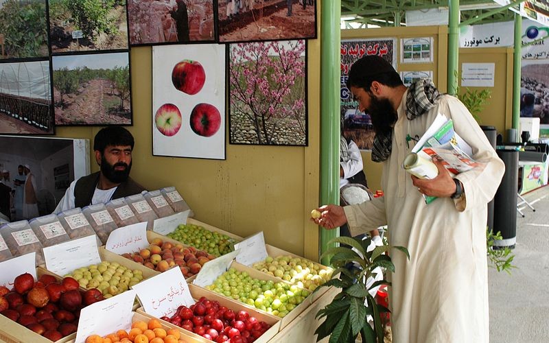 Saving Afghanistan’s Economy: A daunting challenge