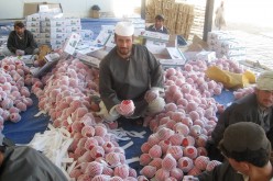 Afghanistan drowning in export regulation