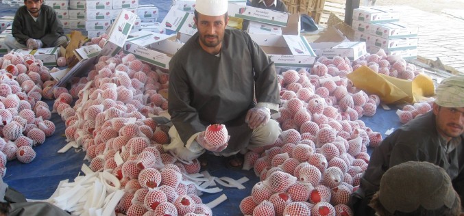 Afghanistan drowning in export regulation