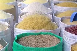 Food security: The Gulf Cooperation Council states in dire straits