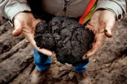 Canada’s Tar Sand Foreign Policy Stifles Manufacturing