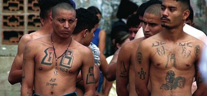 Honduras’ Gangs Overrun World’s Murder Capital