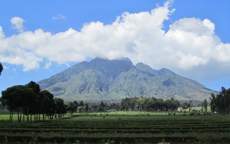 Tourism is Booming in Rwanda