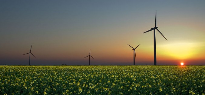 Clean Energy Damages Europe’s Competitiveness