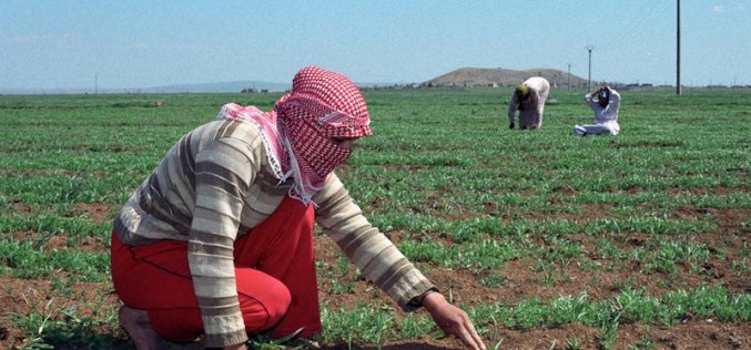 Syria’s Civil War Has Environmental Origins