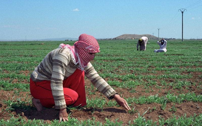 Syria’s Civil War Has Environmental Origins