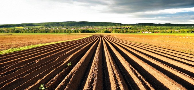 Risky Business: Addressing Agriculture Supply Chains