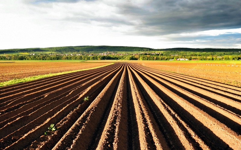 Risky Business: Addressing Agriculture Supply Chains