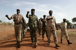 Central African Republic may become ‘the next Somalia’