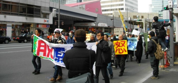 Fukushima amplifies Japanese energy import dependence