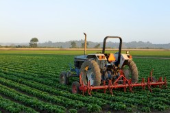 Forget finance: Agribusiness risks could reap greater rewards