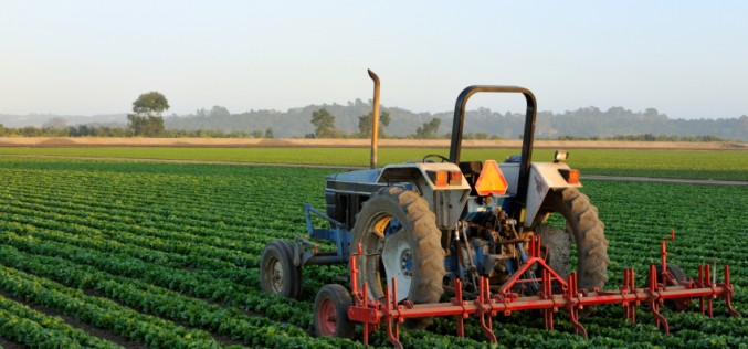Forget finance: Agribusiness risks could reap greater rewards
