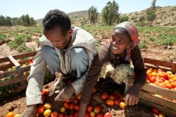 Ethiopia’s economy grows with Chinese investment
