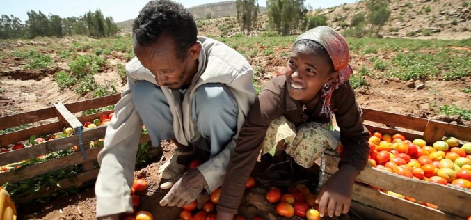 Ethiopia’s economy grows with Chinese investment