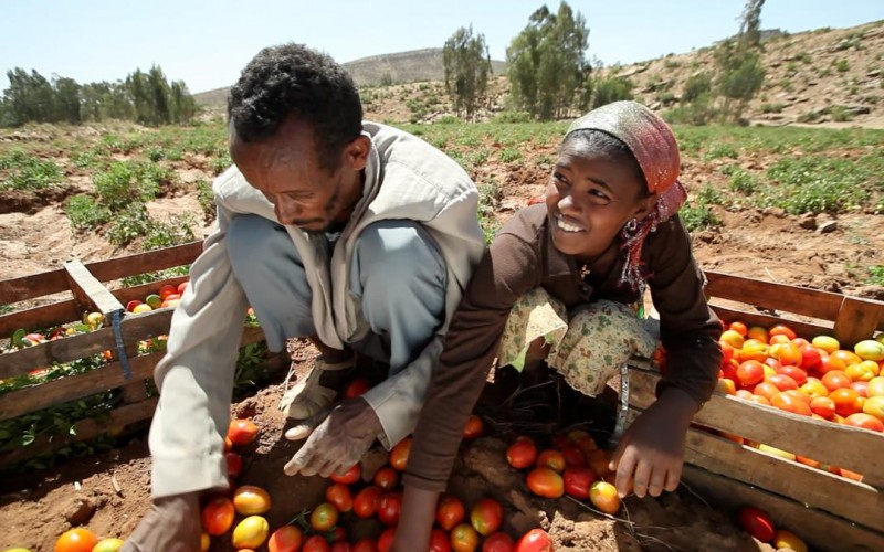 Ethiopia’s economy grows with Chinese investment