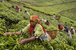 10 countries most improved in “Ease of Doing Business”