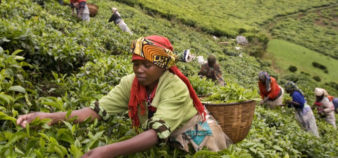 10 countries most improved in “Ease of Doing Business”