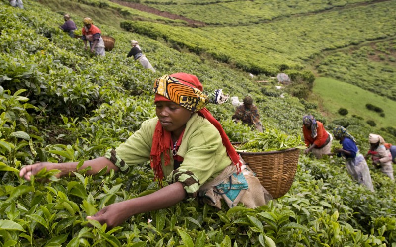 10 countries most improved in “Ease of Doing Business”