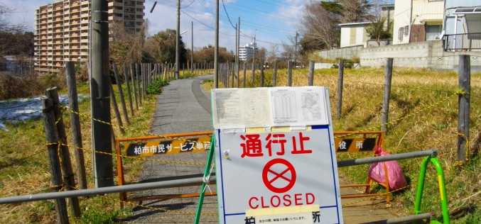 Japan’s electricity sector reform passed in wake of Fukushima