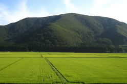 Tokyo is passing its first TPP test with agricultural reform