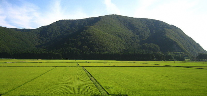 Tokyo is passing its first TPP test with agricultural reform