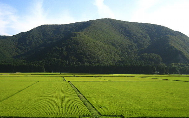 Tokyo is passing its first TPP test with agricultural reform