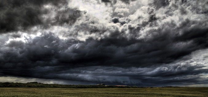 Why corporate culture needs risk literacy