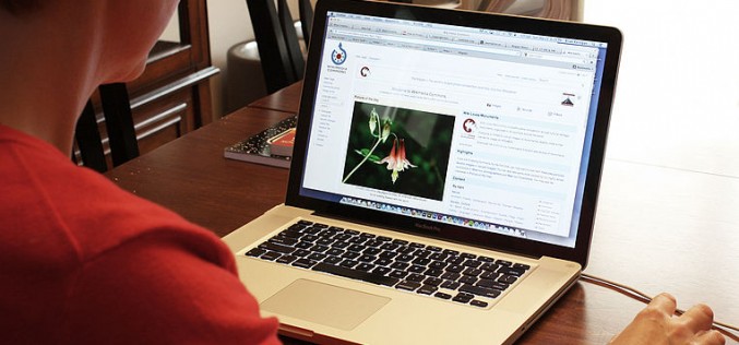 5 takeaways from the US court ruling against net neutrality