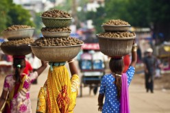 Why emerging markets are not collapsing