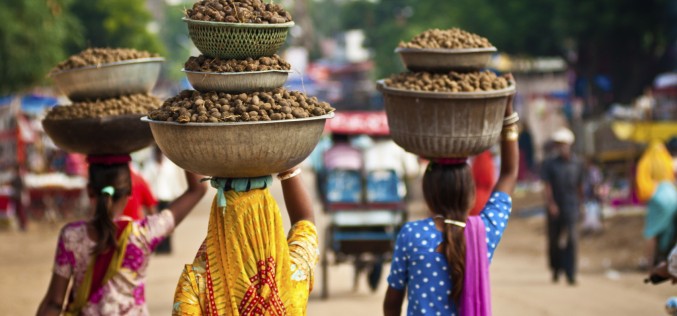 Why emerging markets are not collapsing