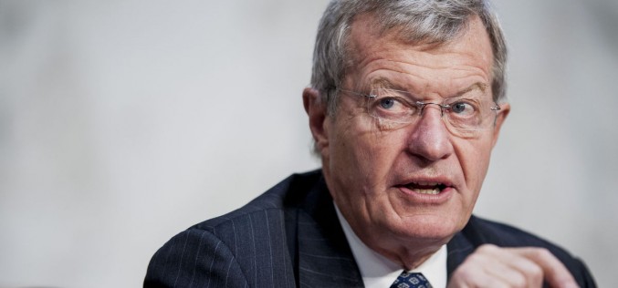 Ambassador Baucus could bring U.S beef back to China