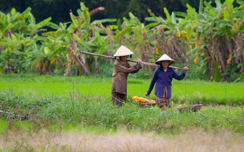 Widening wealth gap threatens Vietnam’s stability