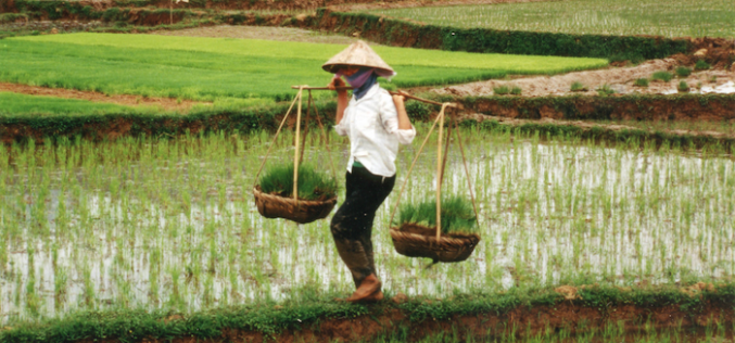 Vietnam’s investment reforms fall flat