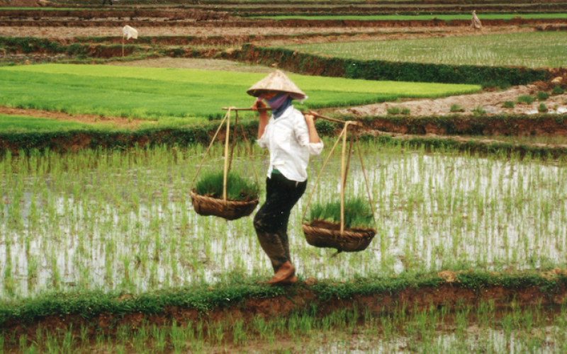 Vietnam’s investment reforms fall flat