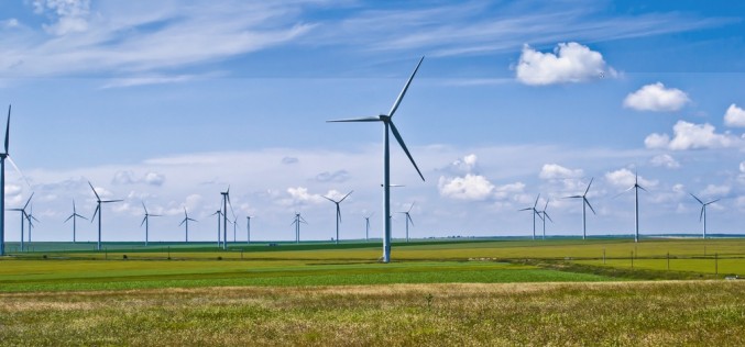 European subsidy cuts deal hard blow to renewables