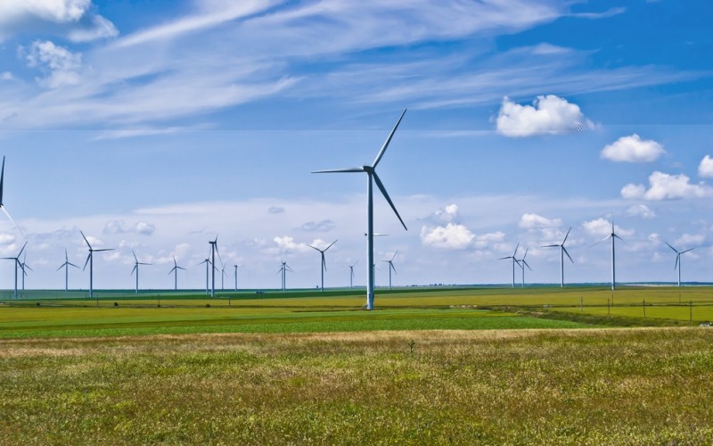 European subsidy cuts deal hard blow to renewables