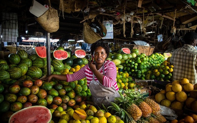 Will TFTA bring free trade from Cape to Cairo?