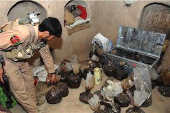Financial self-sufficiency fuels terrorist climate