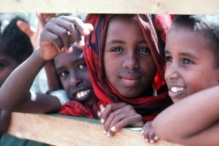 Halt of remittances threatens stability in Somalia