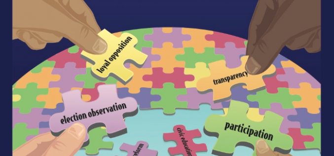 Review of Julie Fisher’s Importing Democracy