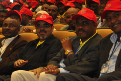 Ethiopia’s ruling party unlikely to reform amid economic growth