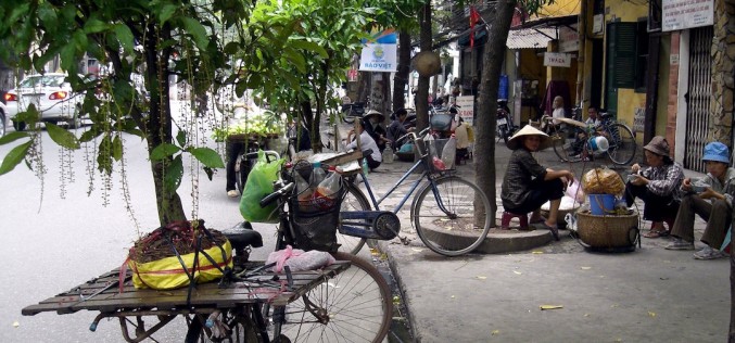 Vietnam tree cutting debacle highlights opaque politics