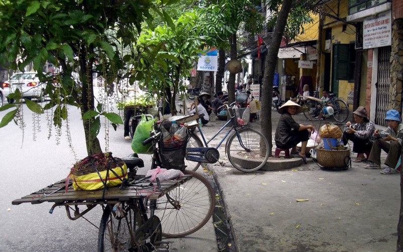 Vietnam tree cutting debacle highlights opaque politics