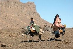 Violent sectarianism on the rise in Algeria