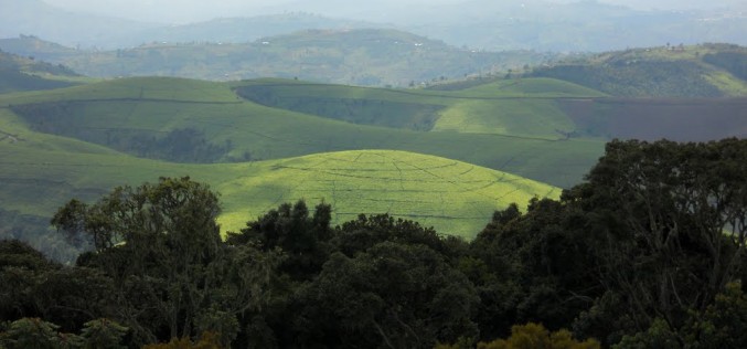 Is Burundi turning into another Rwanda?