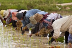 Will new NGO law in Cambodia curtail foreign investment?