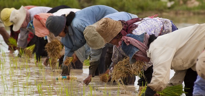 Will new NGO law in Cambodia curtail foreign investment?